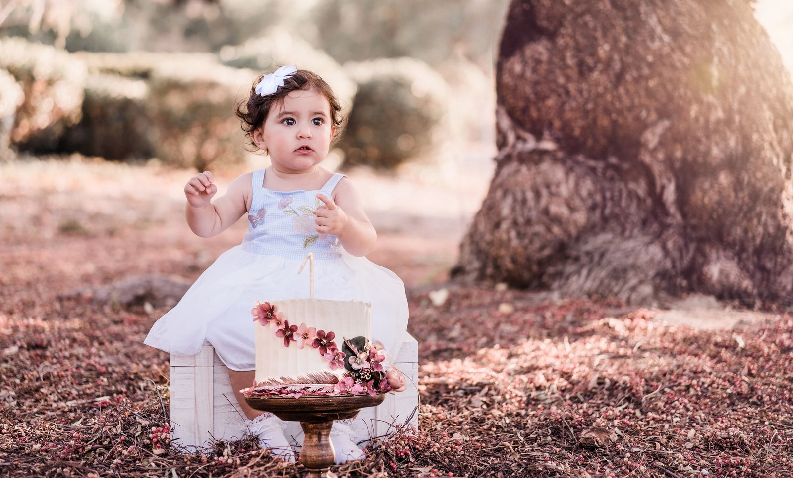 Baby & Newborn by Hazel Moments