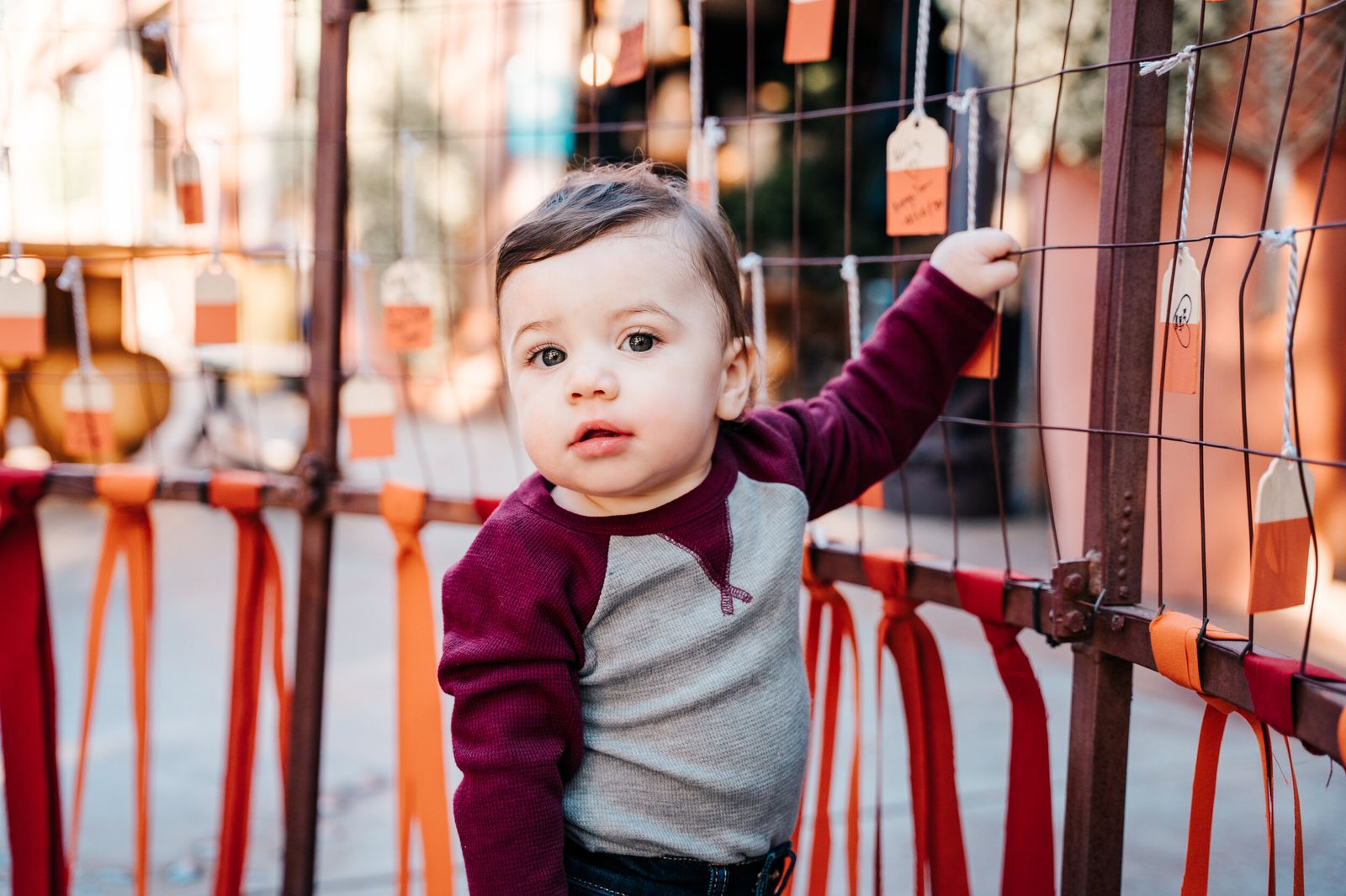 Baby & Newborn by Hazel Moments