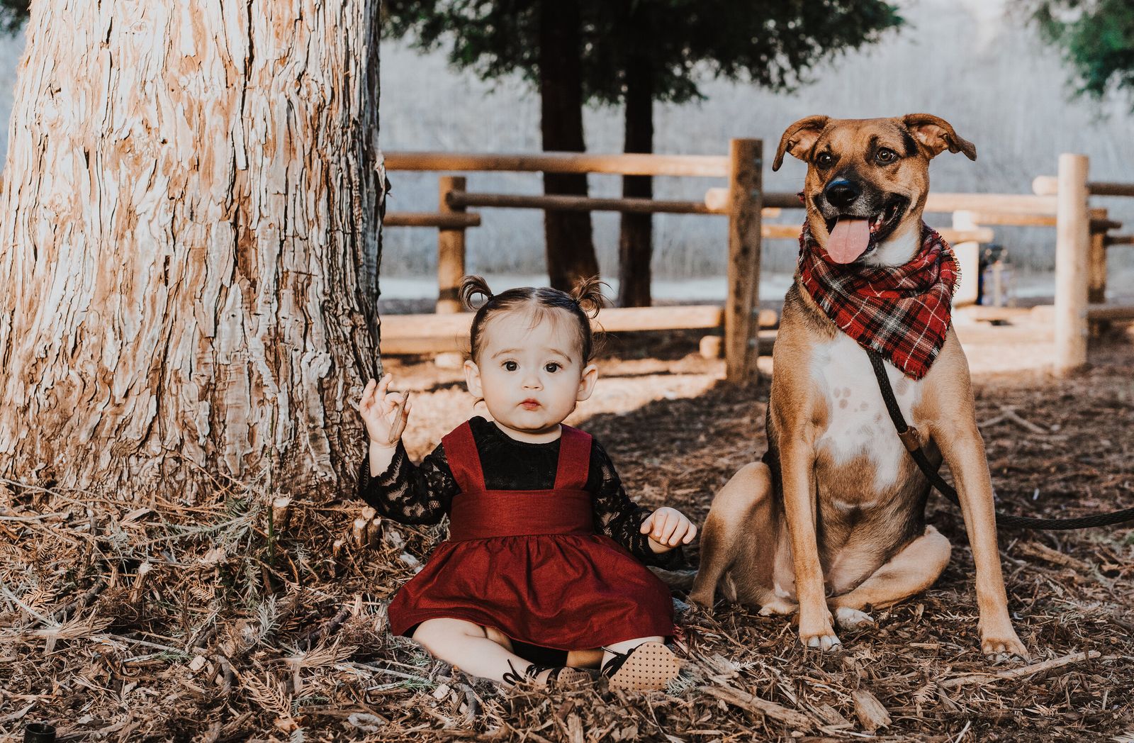 Baby & Newborn by Hazel Moments