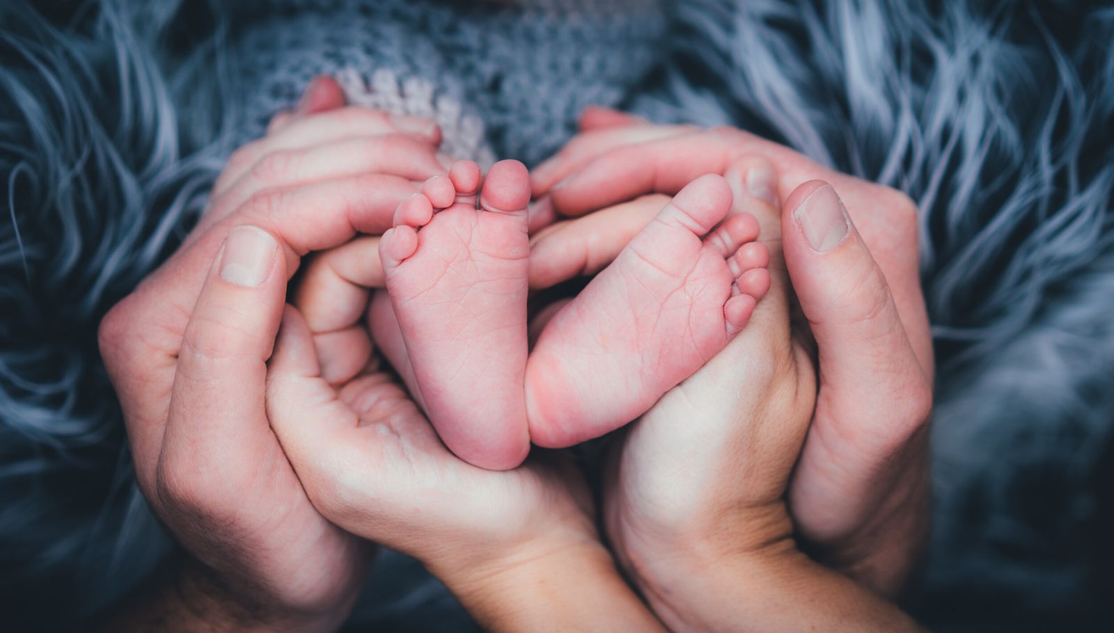 Baby & Newborn by Hazel Moments