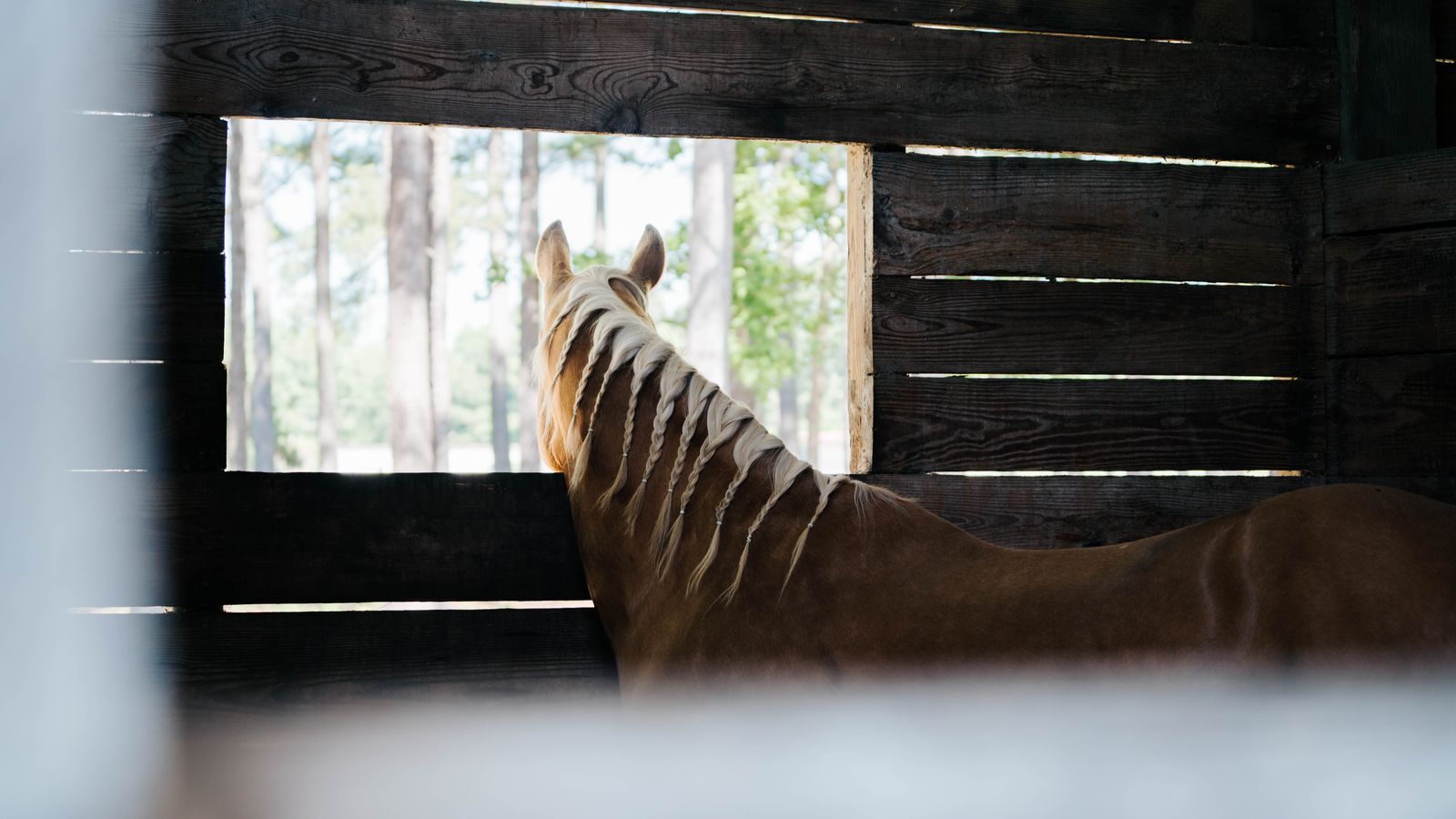 Event Photography by Hazel Moments