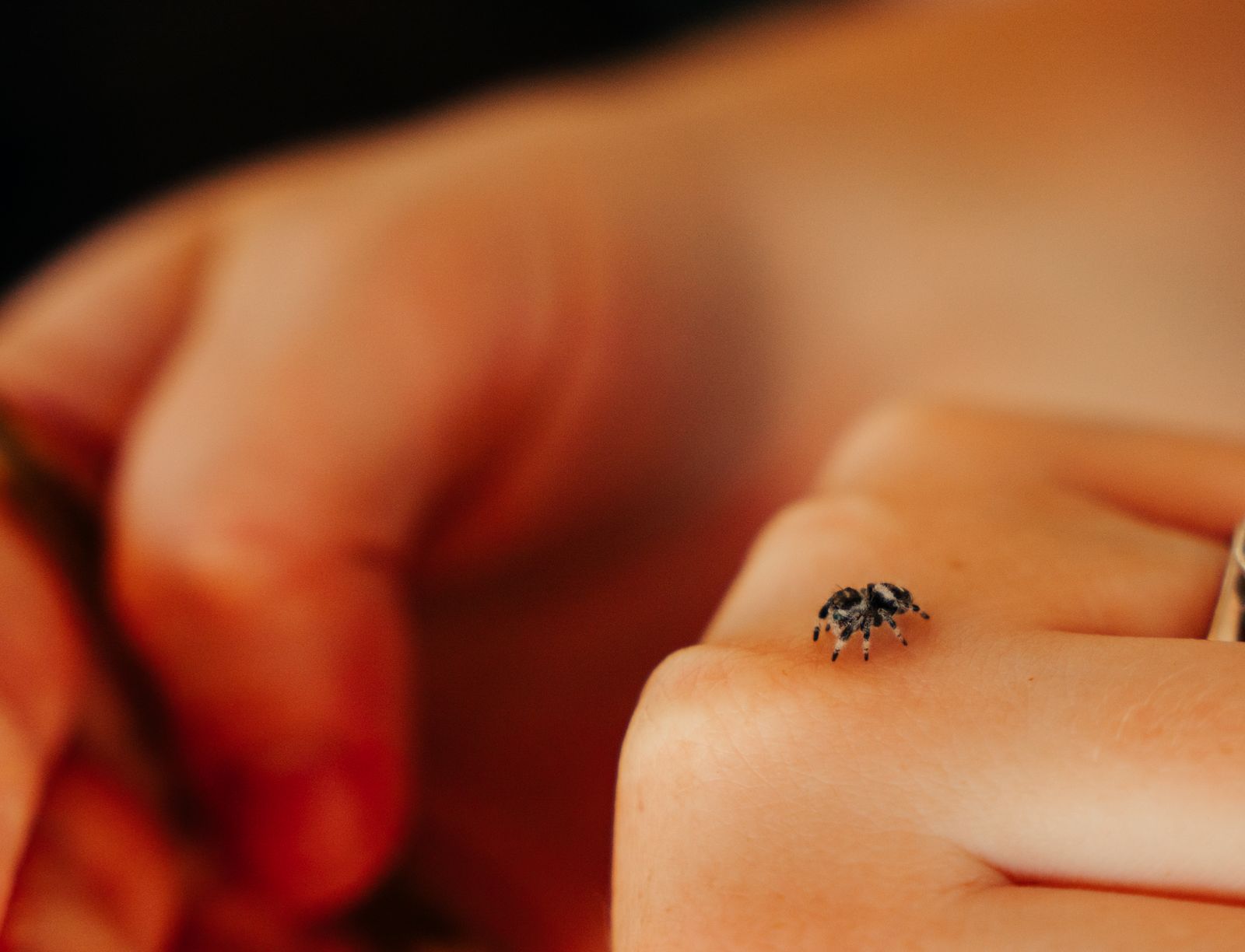 Event Photography by Hazel Moments