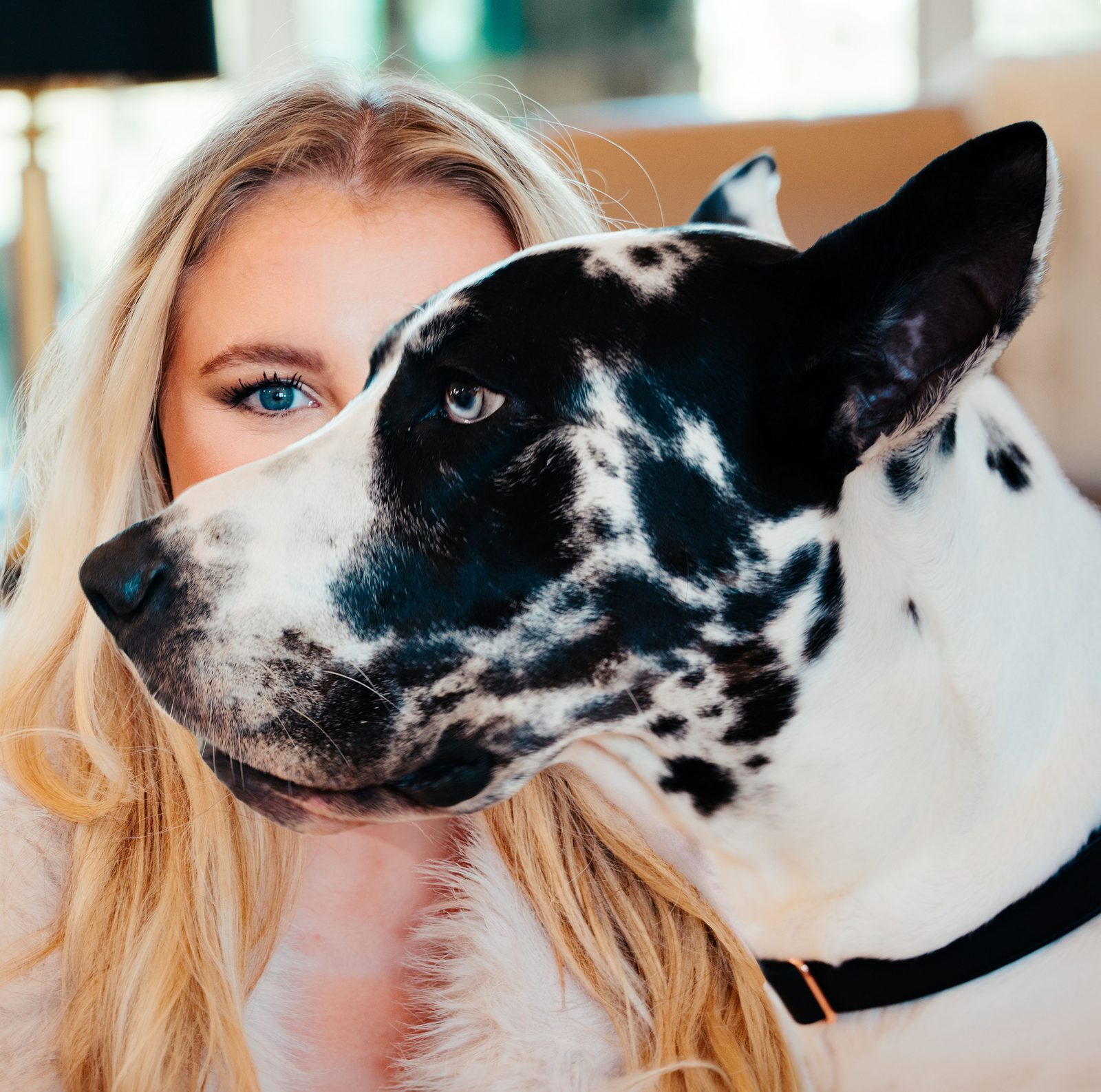 Woman's face beside the profile of a black and white Great Dane, both looking to camera
